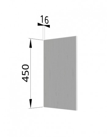 Панель торцевая (для шкафа горизонтального высокого) ВПГ Ройс (Графит софт) в Иланском - ilanskij.mebel54.com | фото