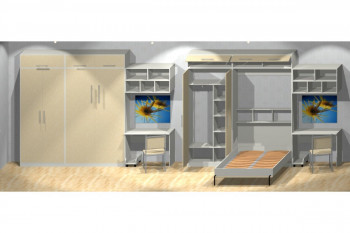 Шкаф-кровать детская в Иланском - ilanskij.mebel54.com | фото